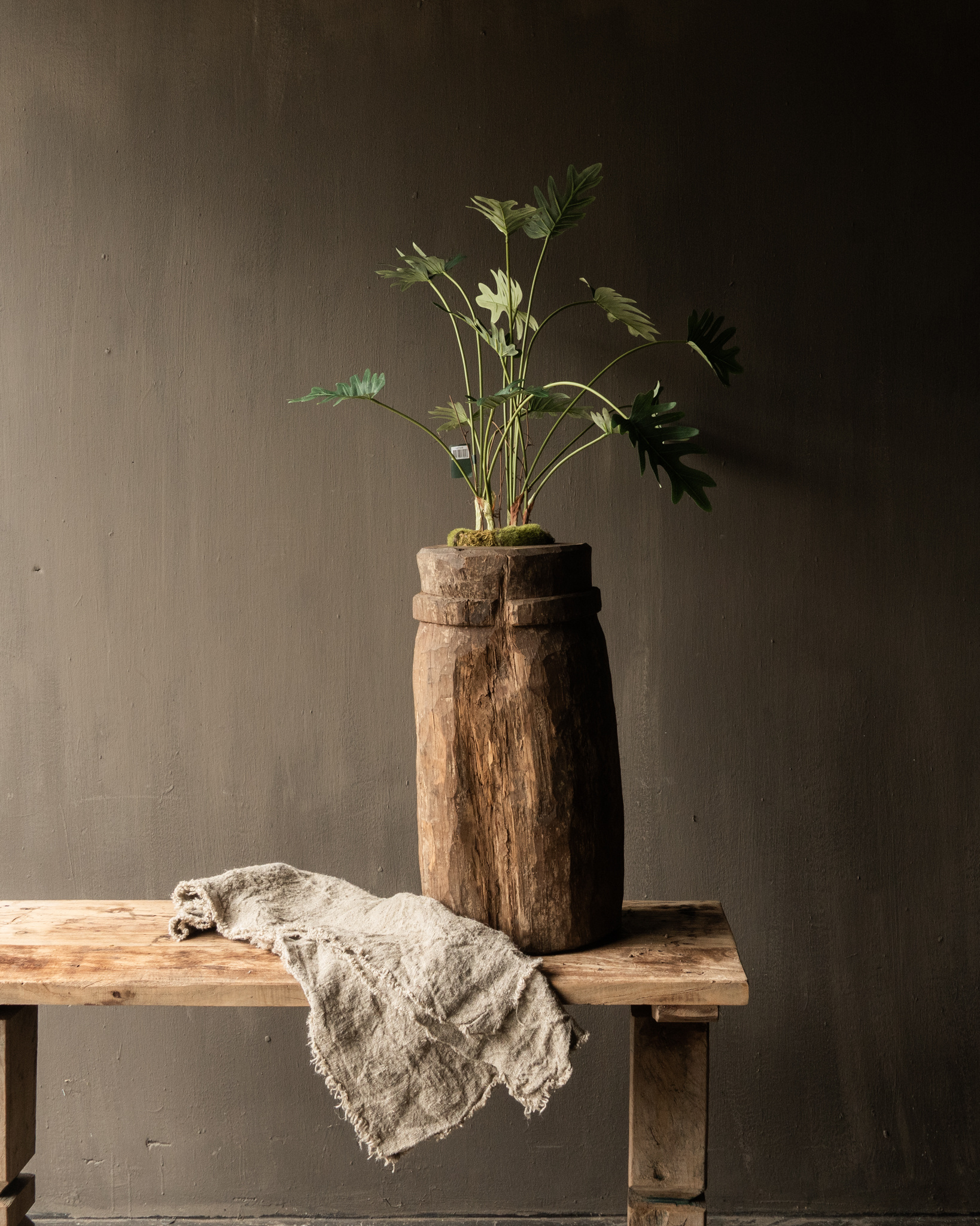 PHILODENDRON GREEN 56 cm Item no. 157005-1