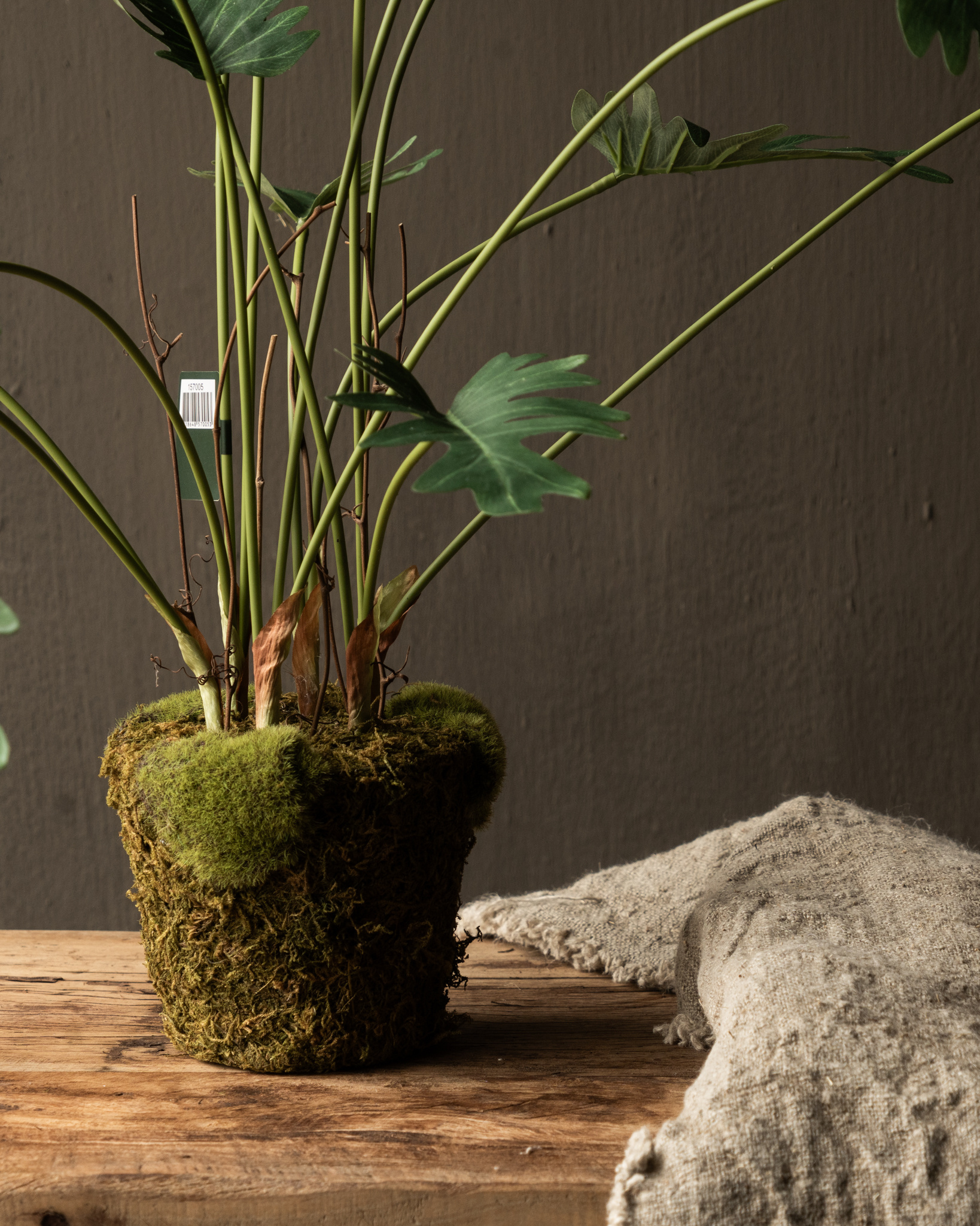 PHILODENDRON GREEN 56 cm Item no. 157005-3