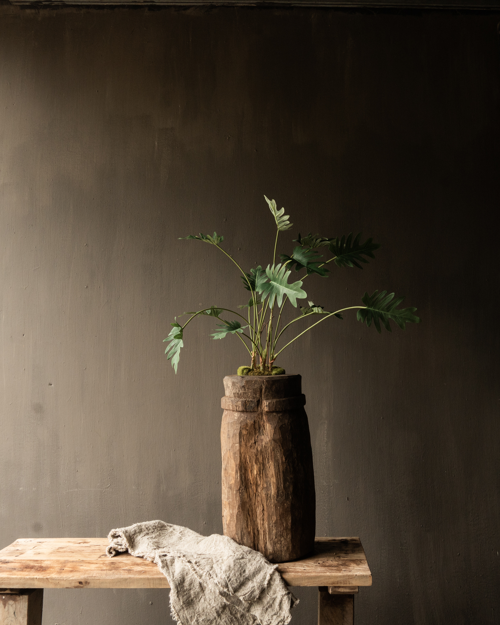 PHILODENDRON GREEN 56 cm Item no. 157005-7