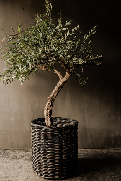 Prachtig Kunstboom Olijfboom  met echte stam