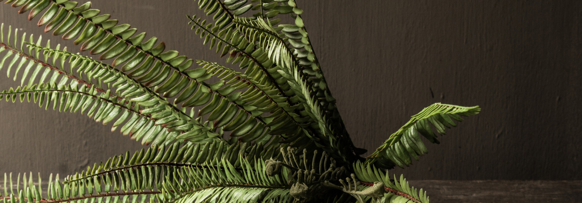 Künstlicher Farn – UV-geschützt – 60 cm