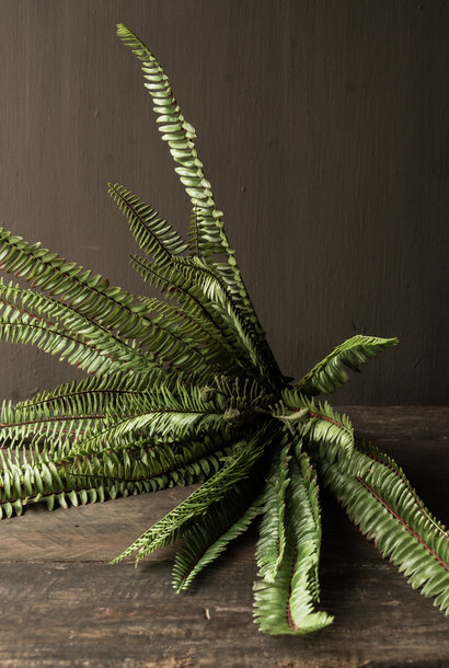 Kunst Varen – UV beschermd – 60 cm