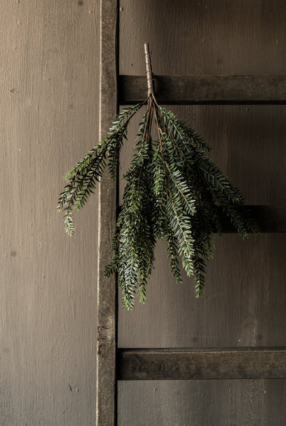 Kunst taxus-/sparrentak