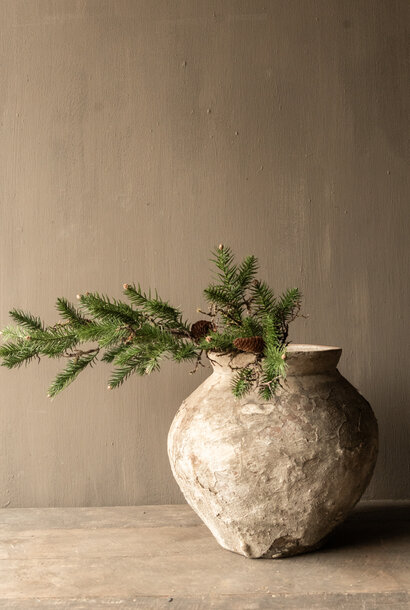 Nadelbaumzweig mit Tannenzapfen