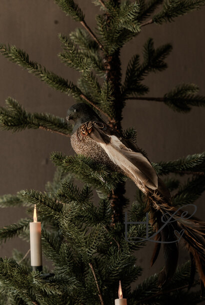 Glitter vogel met veren