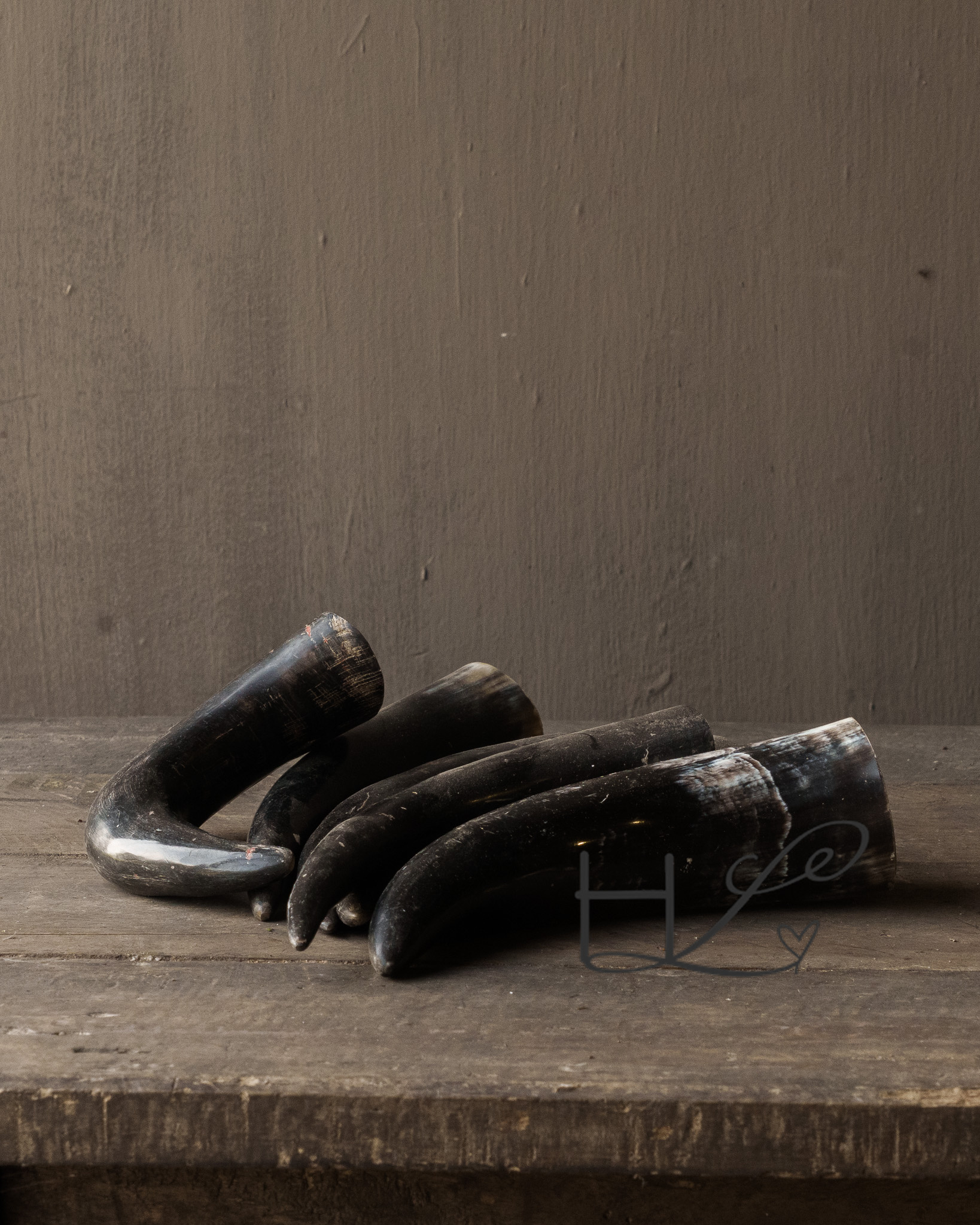 Koe hoorn gepolijst-4