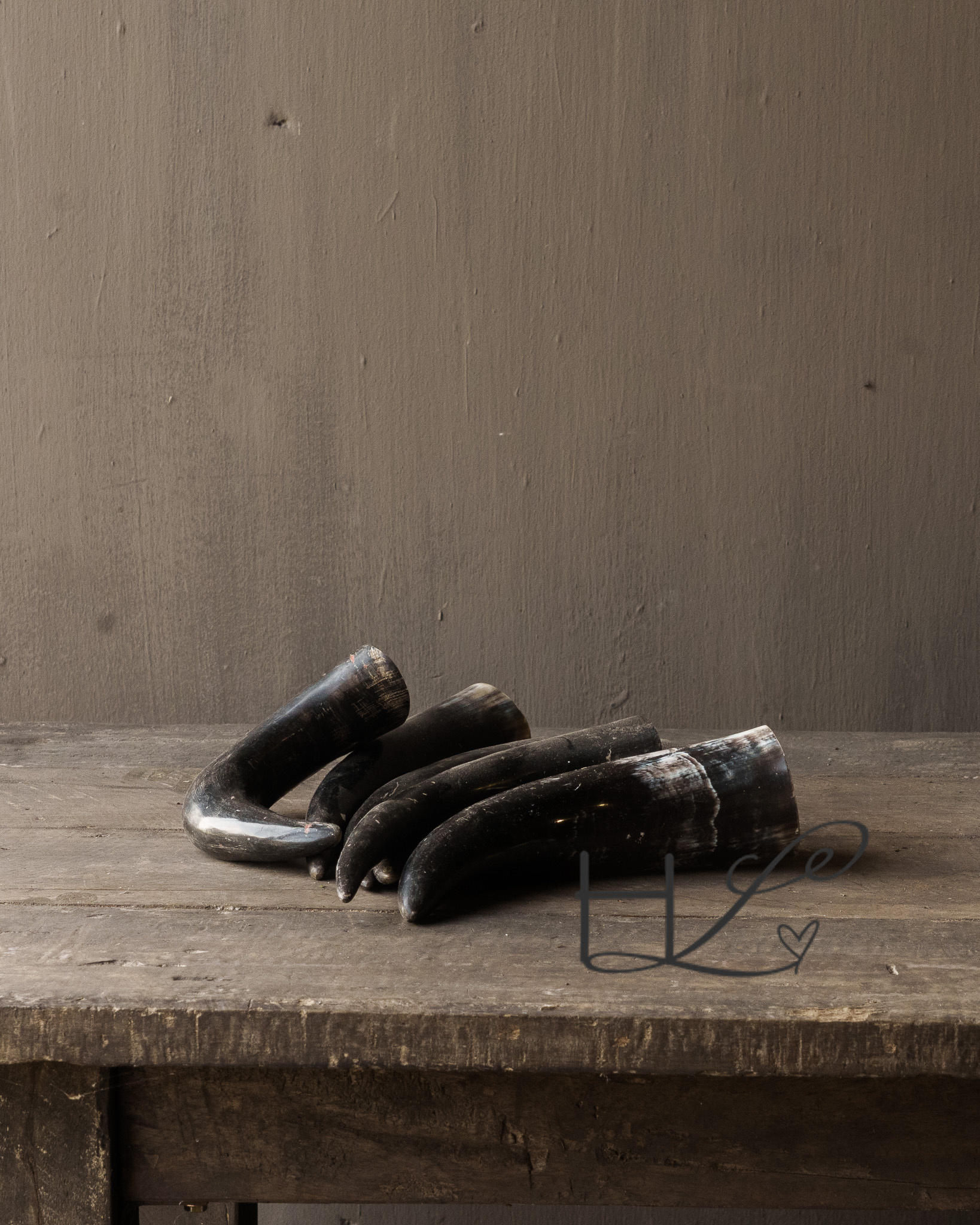 Koe hoorn gepolijst-5