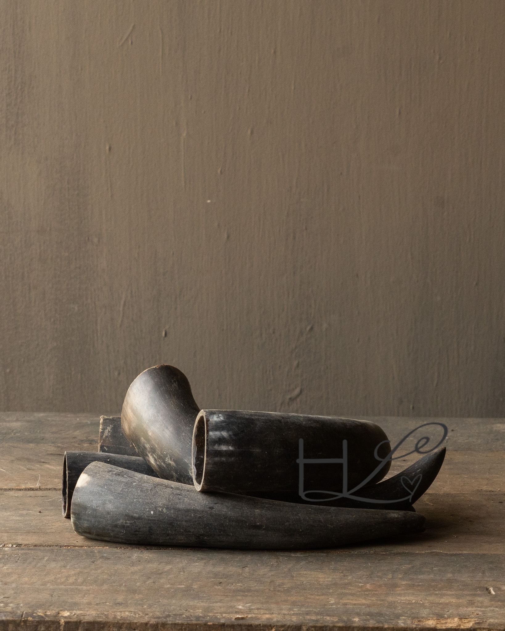 waterbuffel hoorns-1