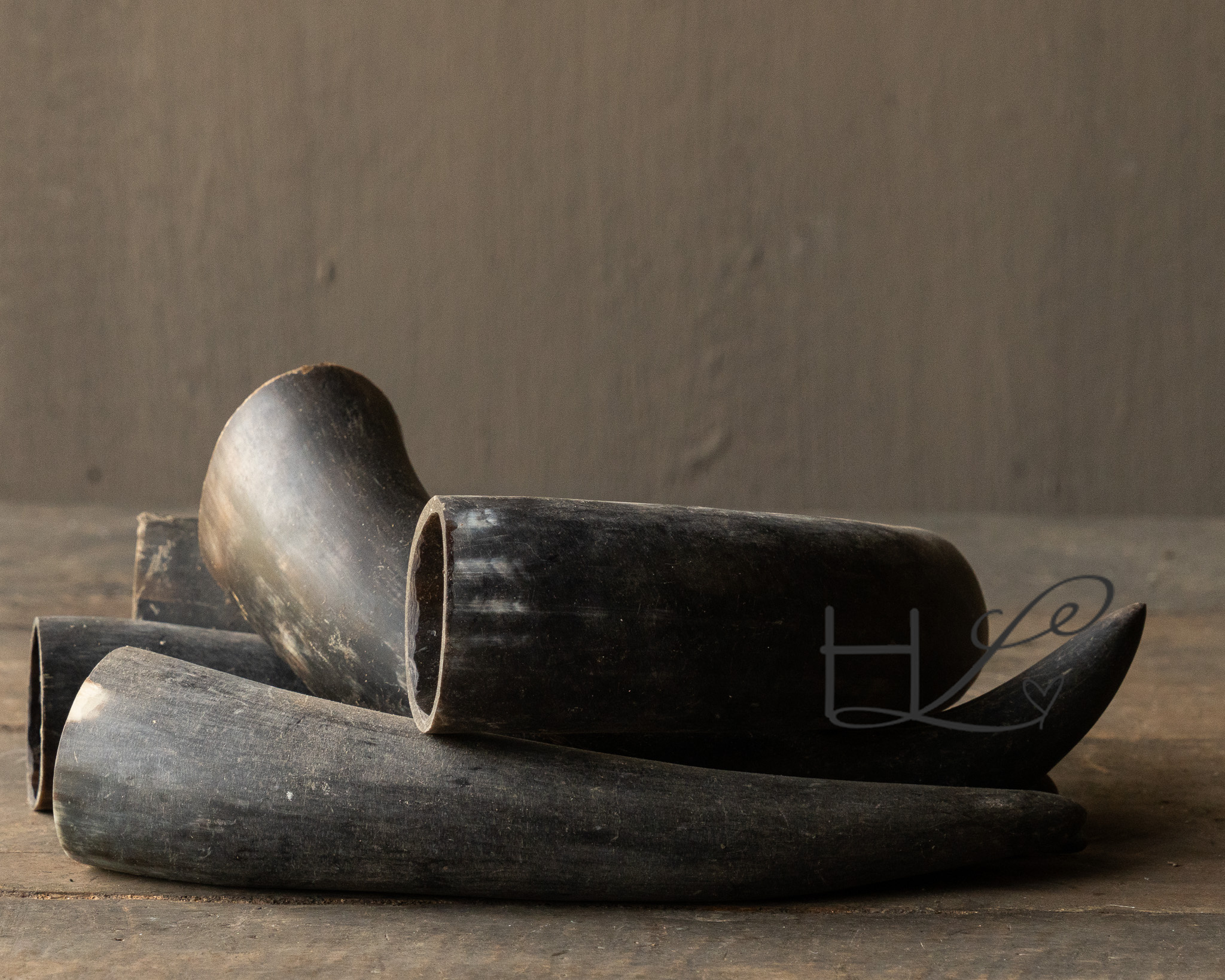 waterbuffel hoorns-3