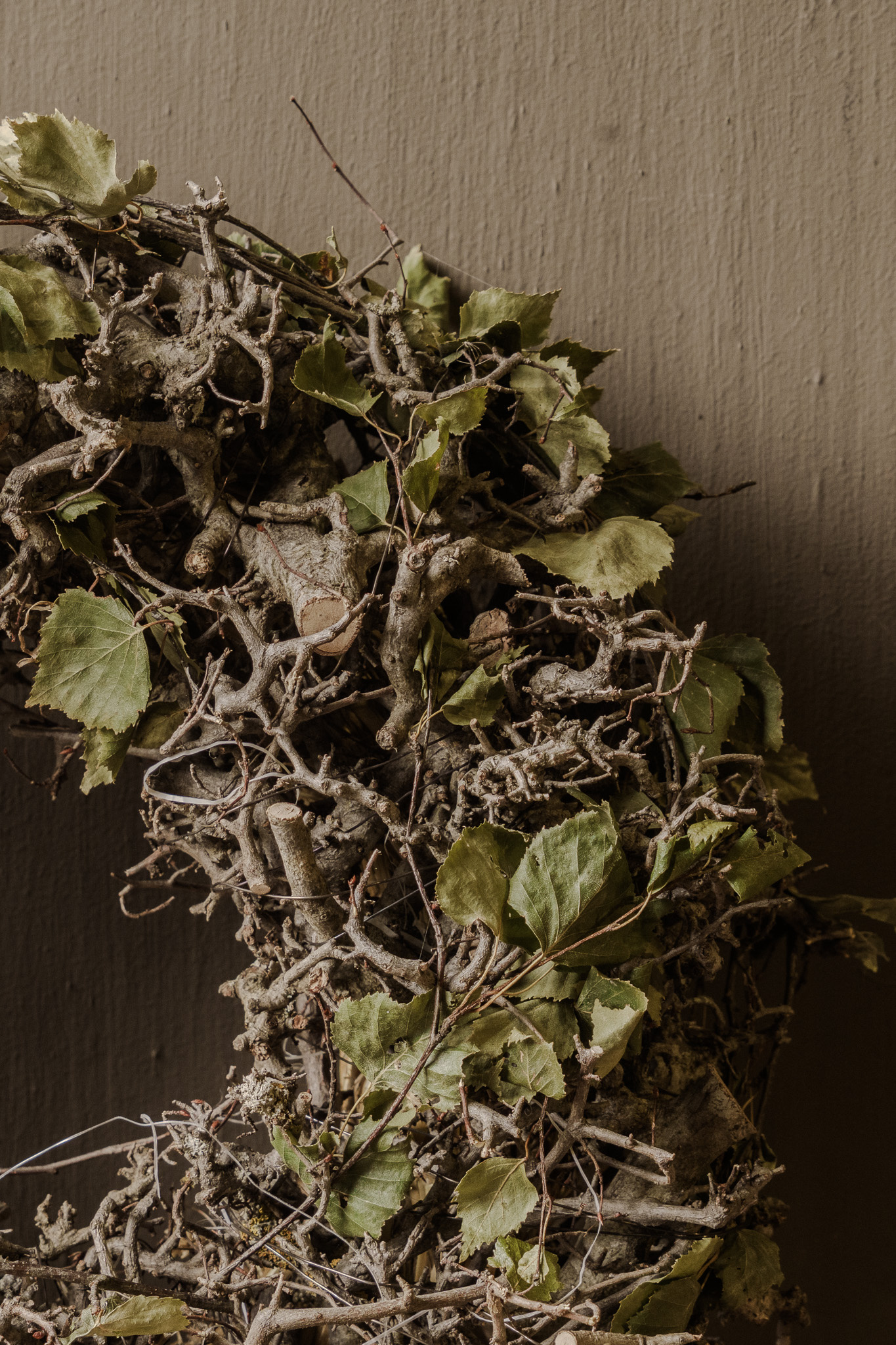 Bonsai wreath nature-4