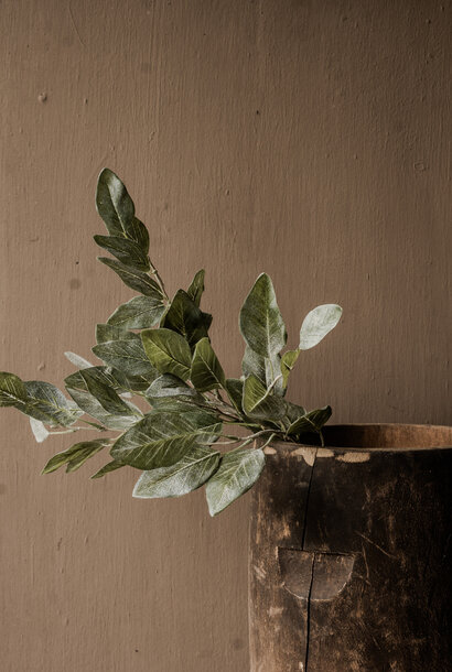 Eukalyptus silber/grün 68 cm