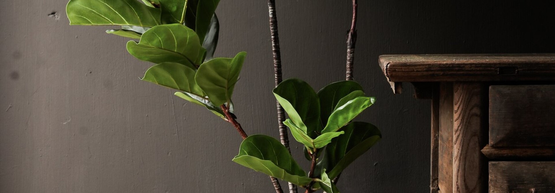 kunst ficus (tabaksplant) van Silk-ka
