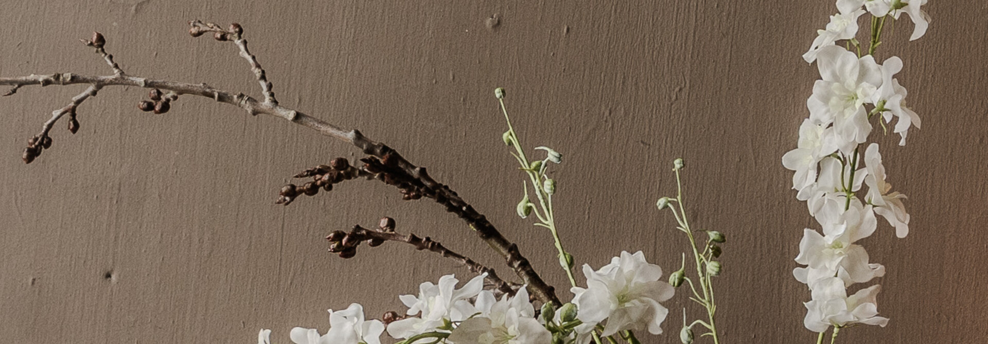 DELPHINIUM TAK CREME RT 101 cm