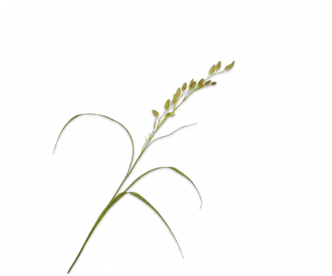 GRASS BRANCH GREEN 108 cm-4