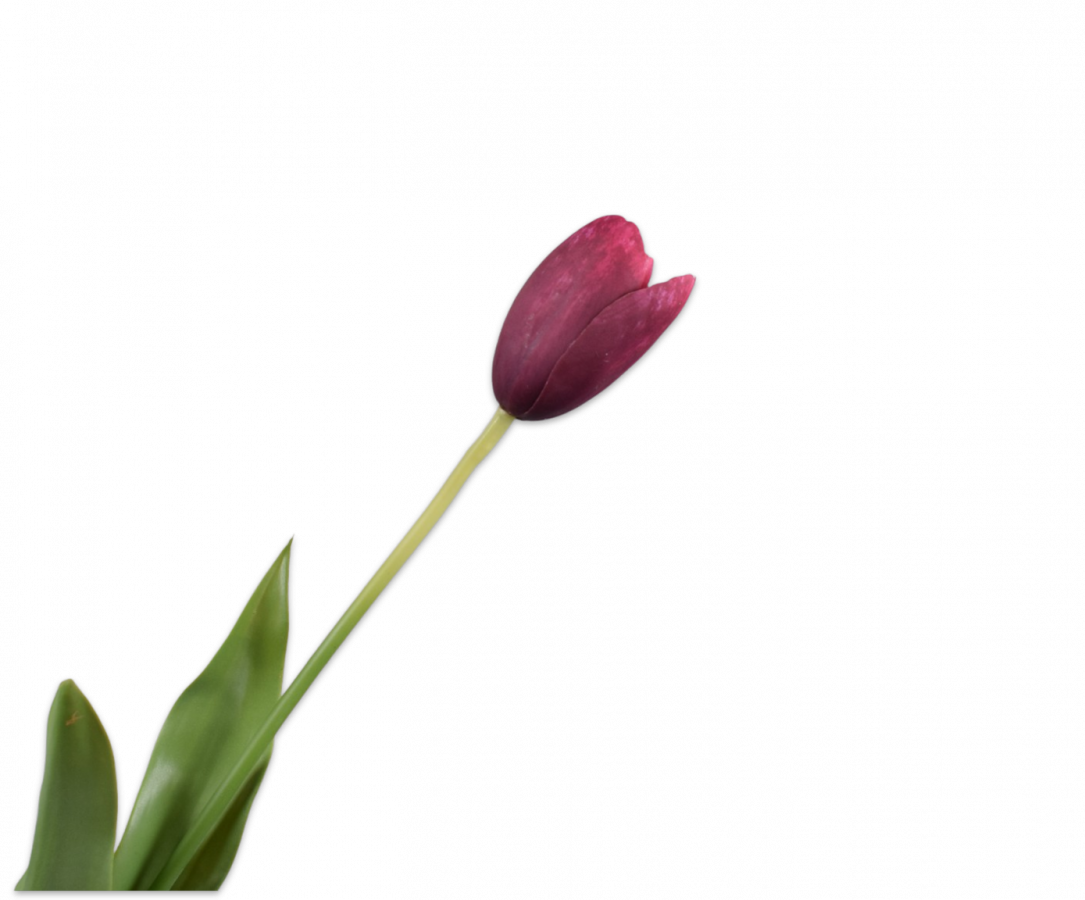 TULIP STEEL BORDEAUX RT 82 cm-5