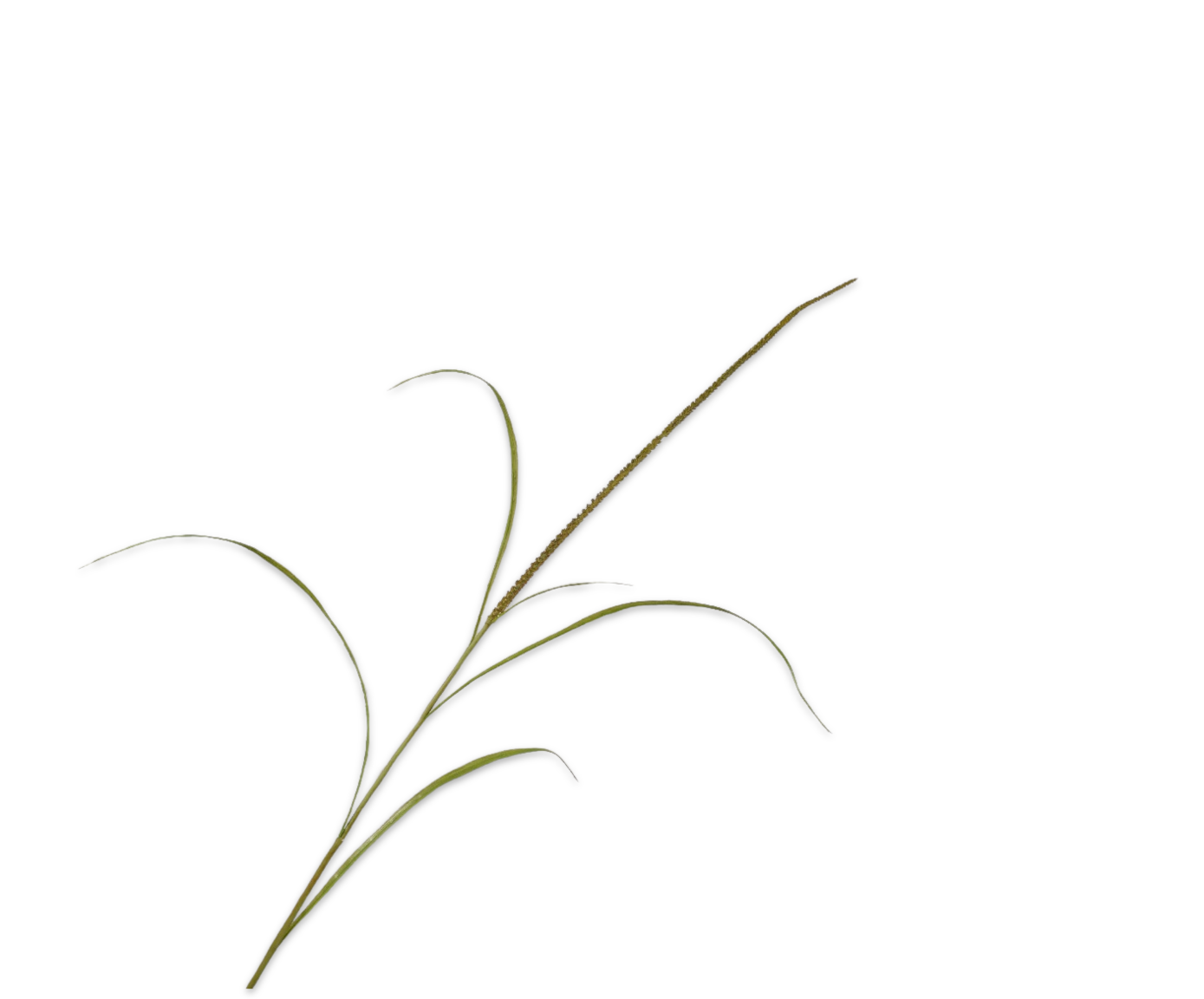 GRASS BRANCH GRÜN 130 cm-3