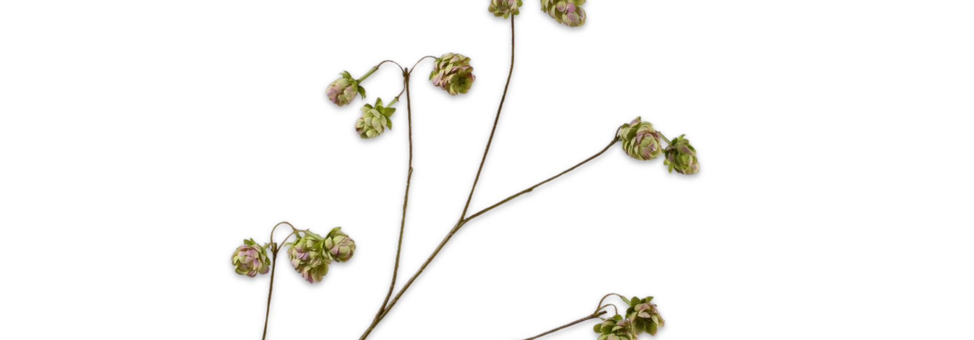 HOP TAK GRN/ROZ 108 cm