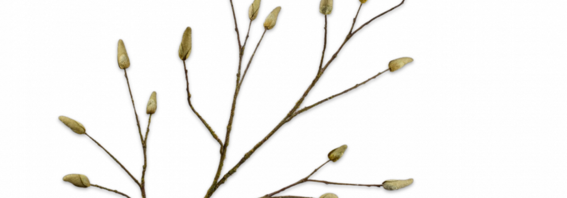 MAGNOLIA BRANCH BROWN 122 cm