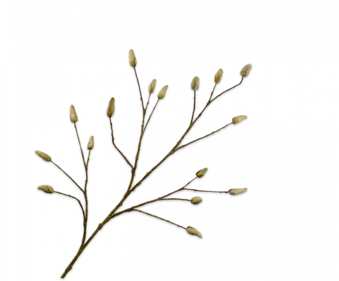MAGNOLIA BRANCH BROWN 122 cm-1
