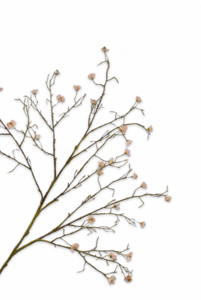 Peach blossom branch 107 cm