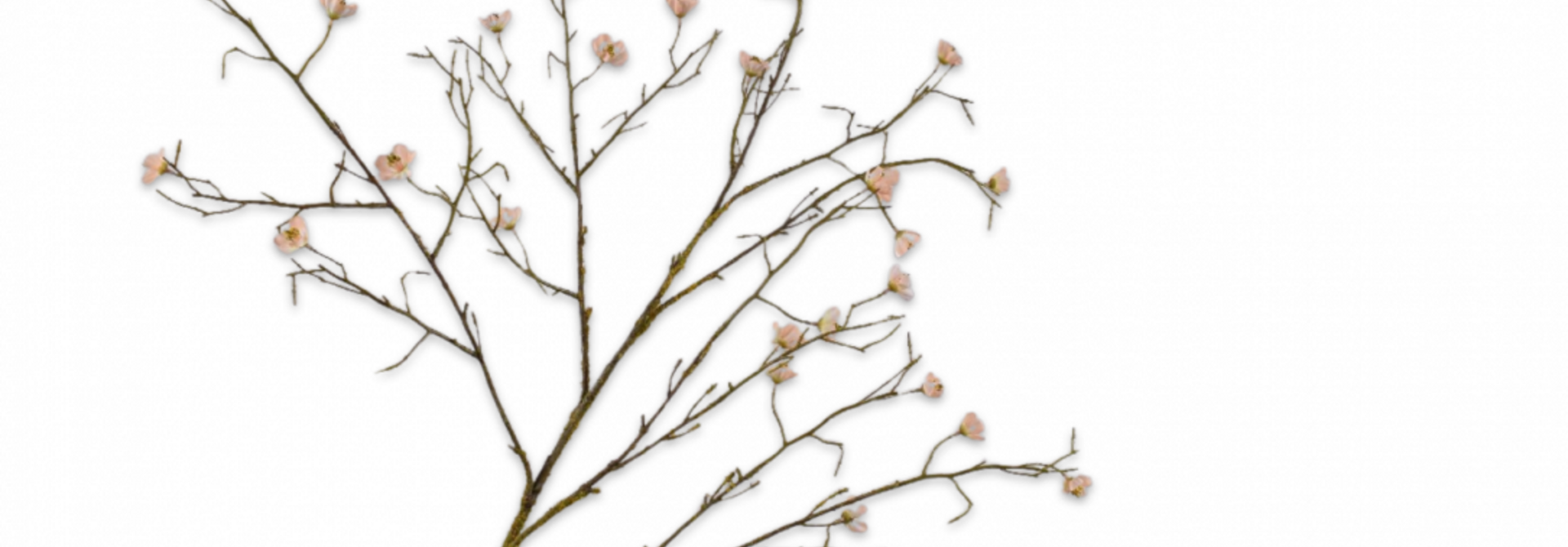 Pfirsichblütenzweig 74 cm