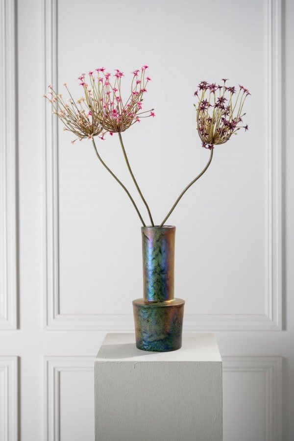 ORNITHOGALUM STEEL BORDEAUX 84 cm-2