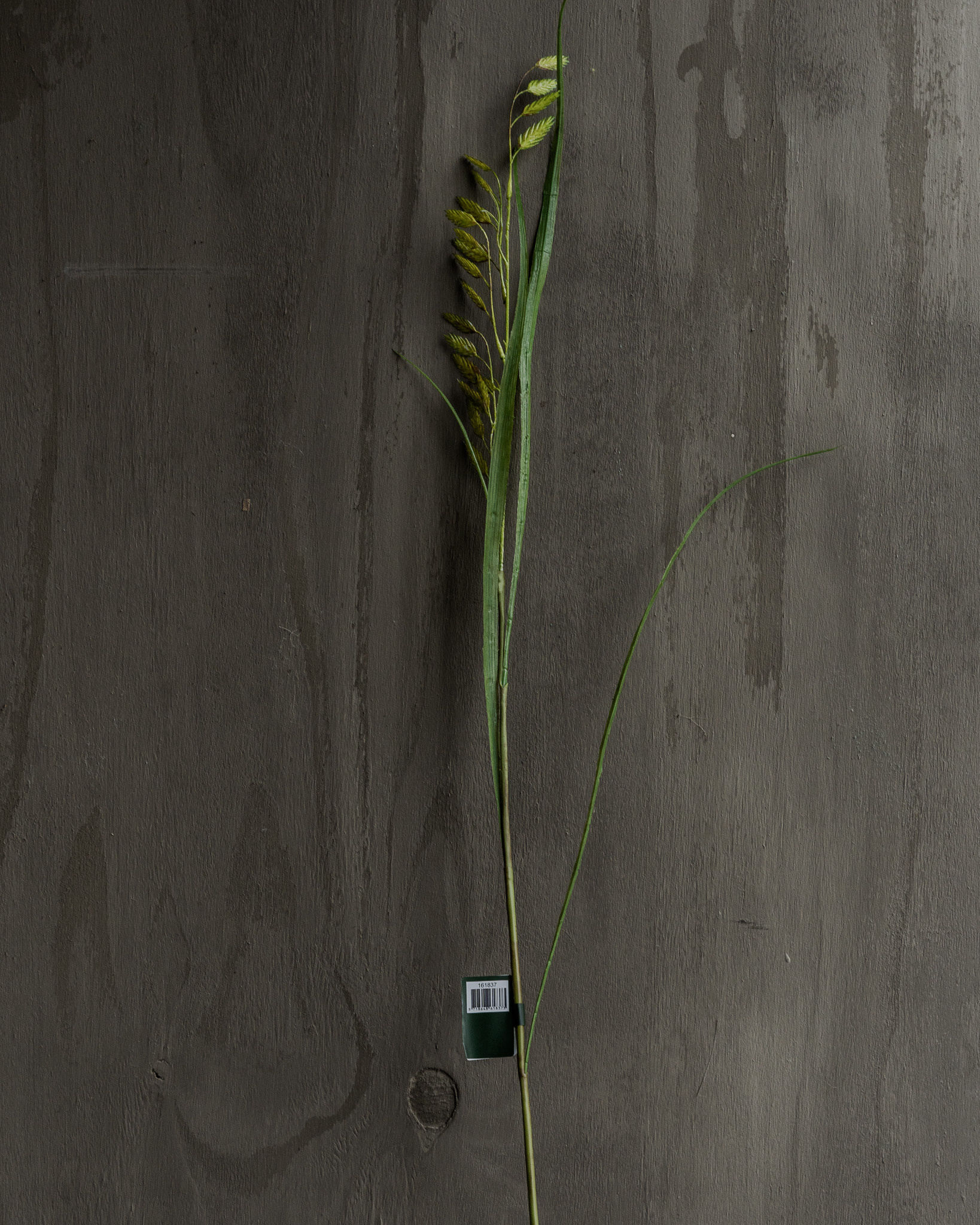 GRASS BRANCH GREEN 108 cm-3