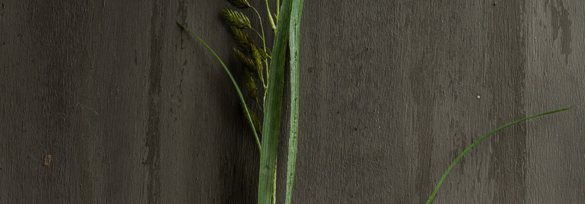 GRASS BRANCH GREEN 108 cm