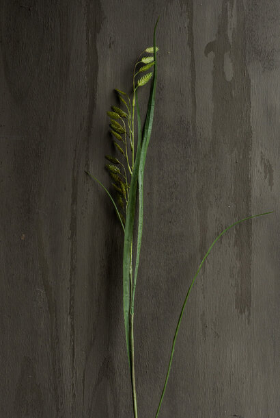 GRASS BRANCH GREEN 108 cm