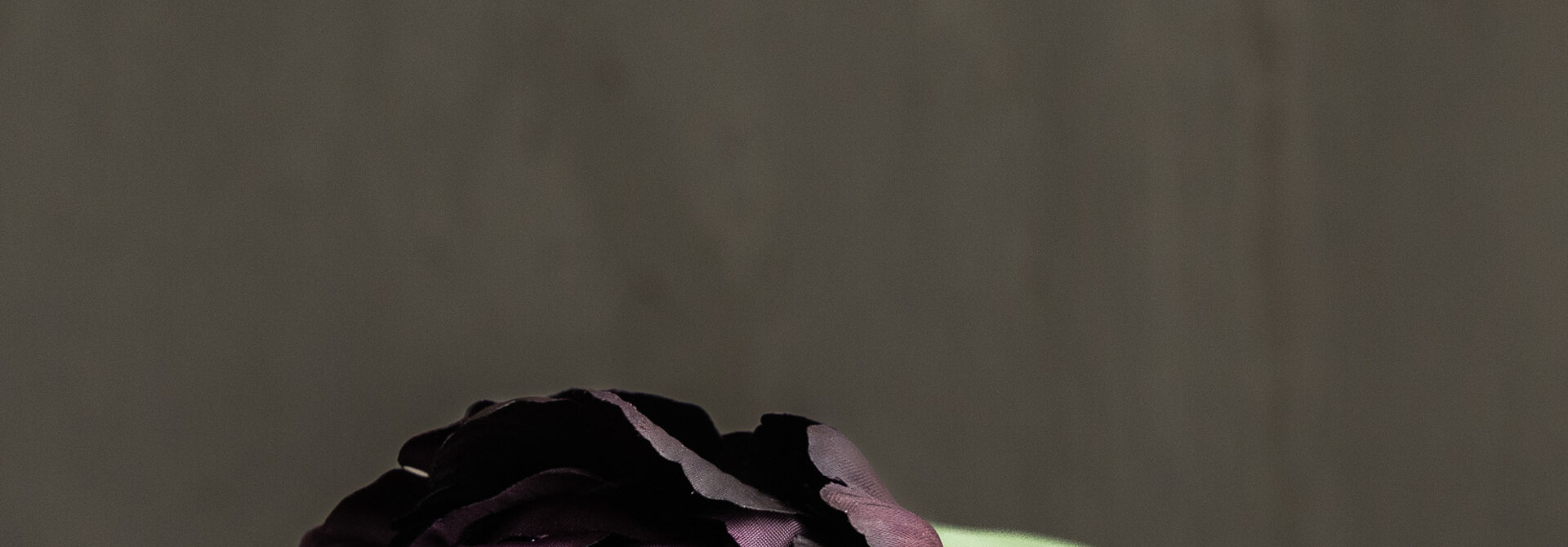 TULP STEEL BORDEAUX RT 82 cm