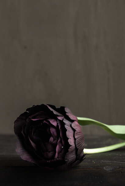 TULP STEEL BORDEAUX RT 82 cm