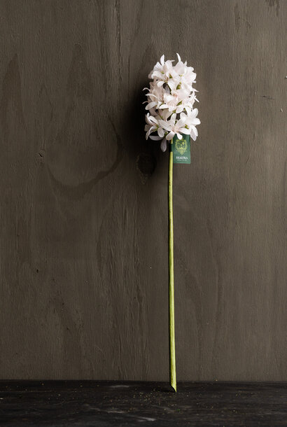 HYACINTH STEEL PINK LT RT 53 cm