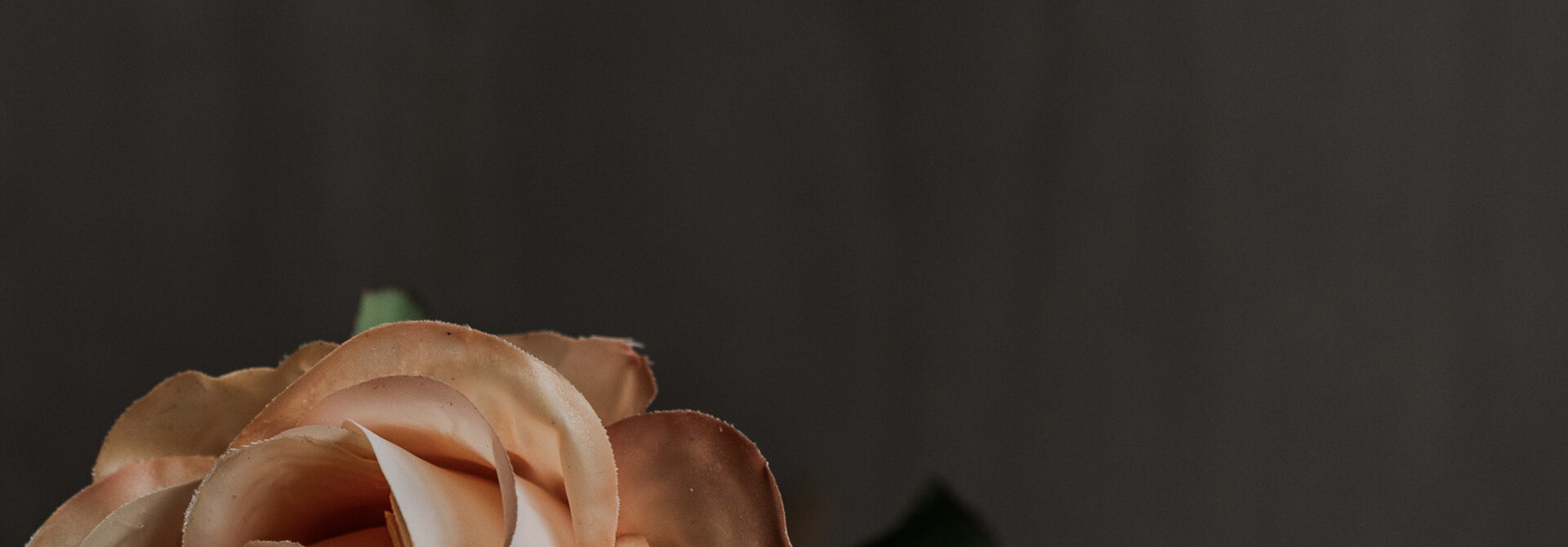 Rosenstiel Pfirsich RT 57 cm