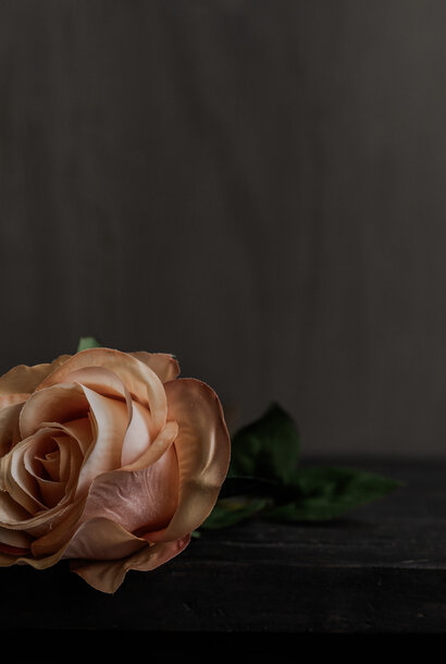 Rosenstiel Pfirsich RT 57 cm