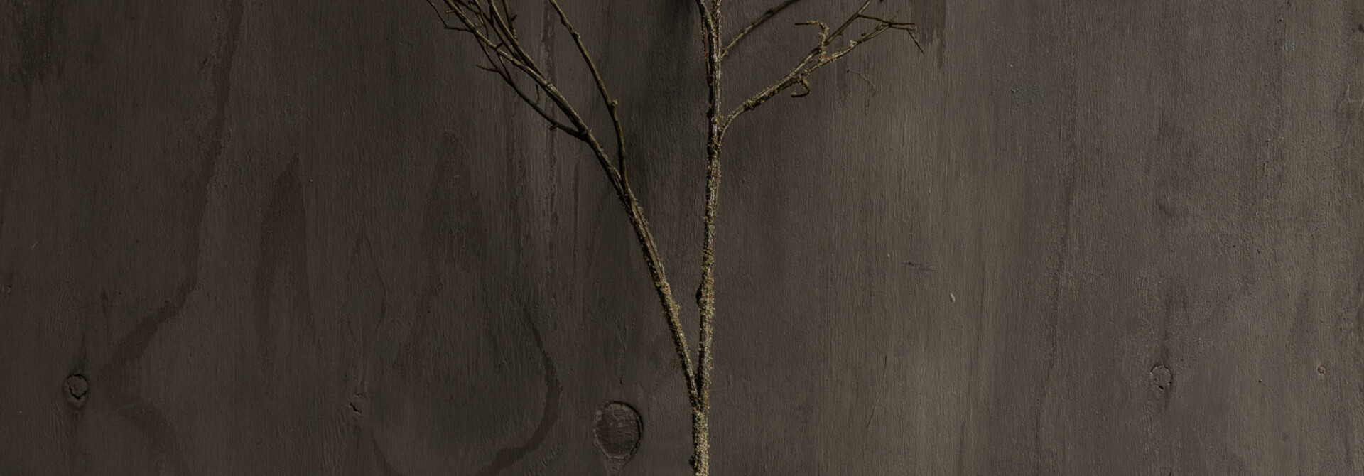 WOOD BRANCH GREEN 107 cm