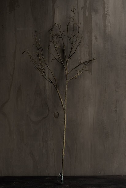 HOUTTAK GROEN 107 cm