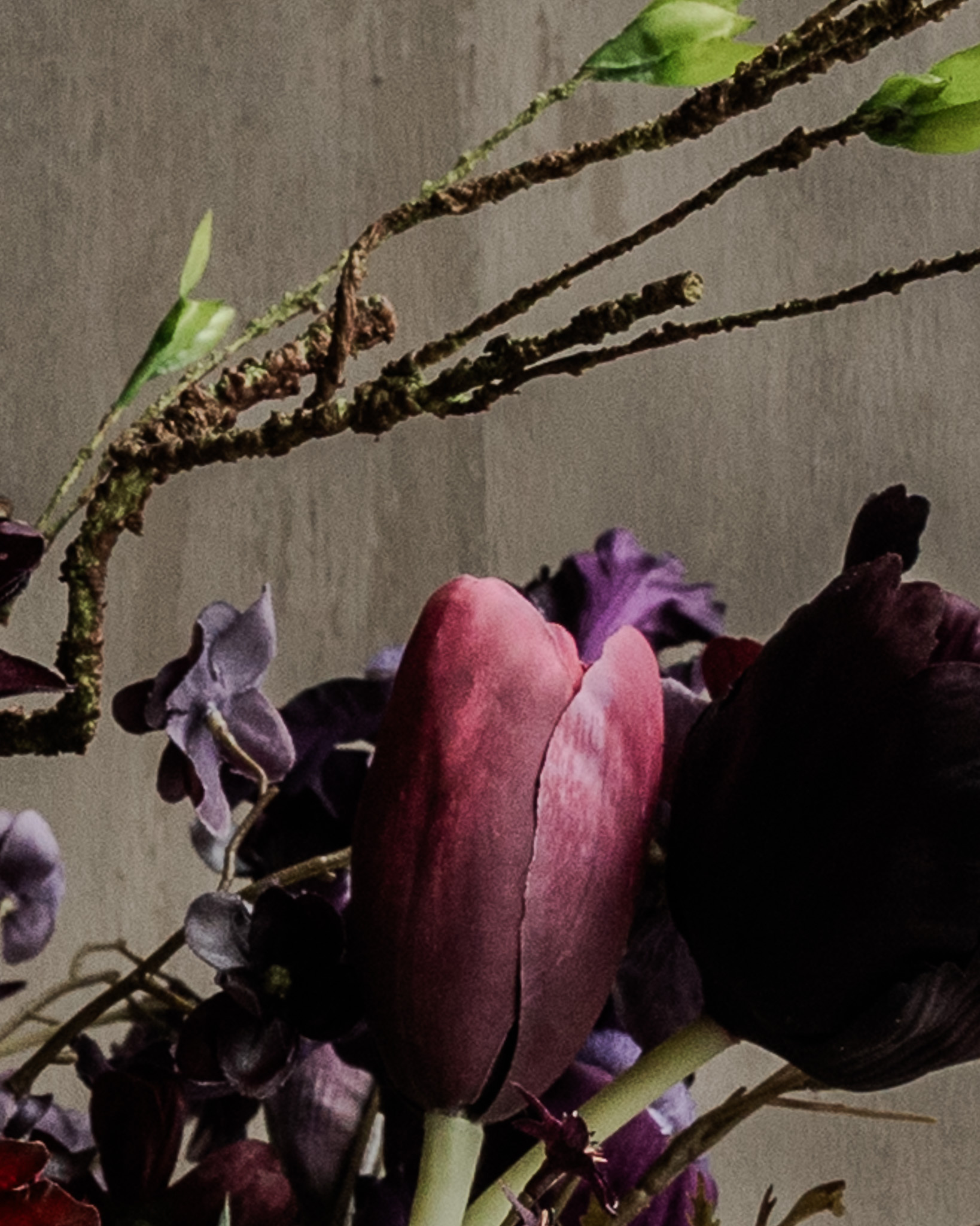 TULIP STEEL BORDEAUX RT 82 cm-4