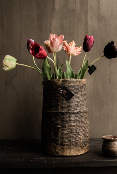 TULP STEEL BORDEAUX RT 82 cm