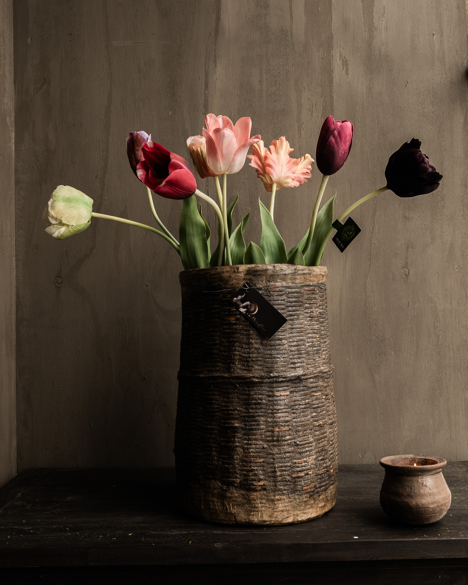 TULIP STEEL BORDEAUX RT 82 cm-1