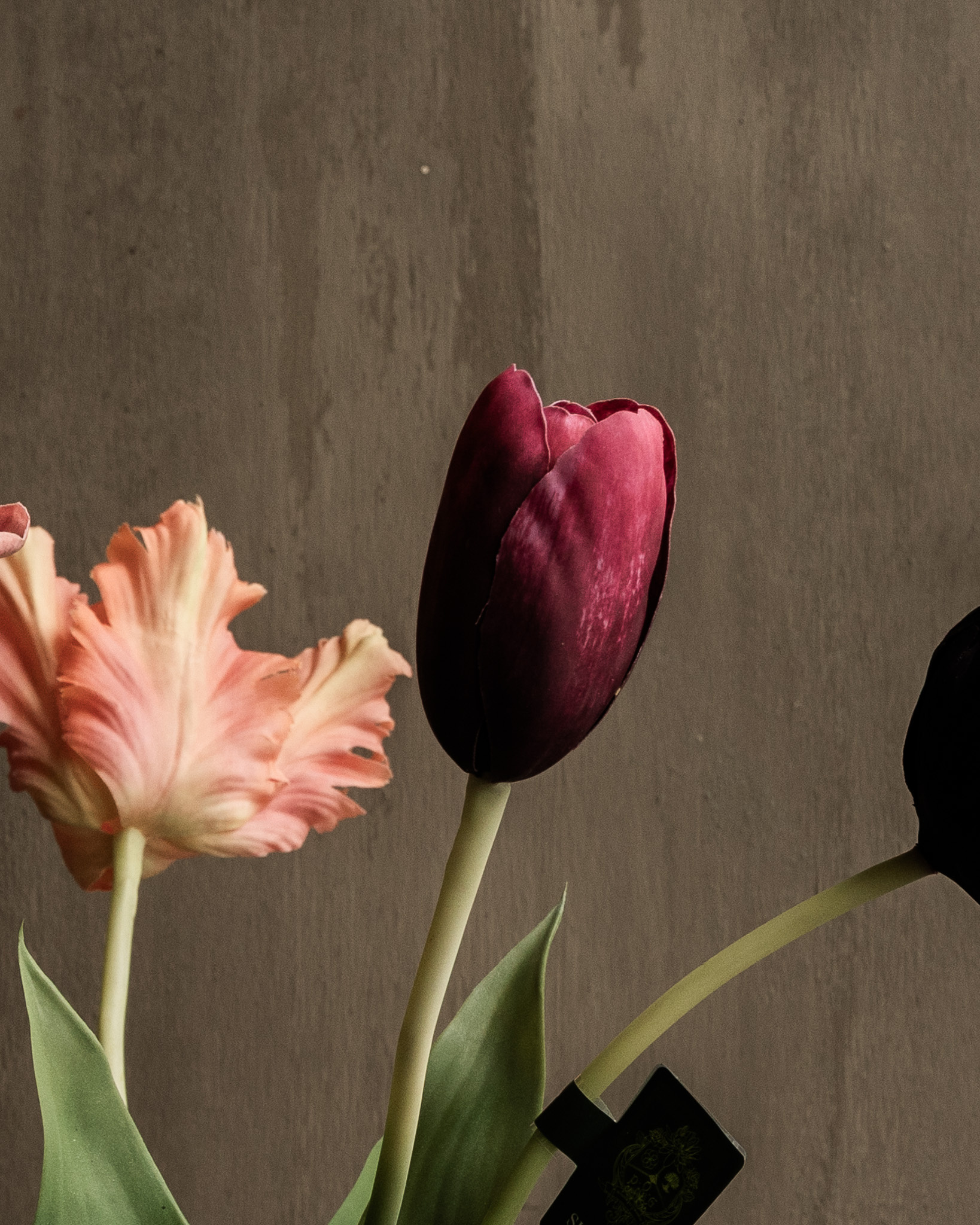 TULIP STEEL BORDEAUX RT 82 cm-2