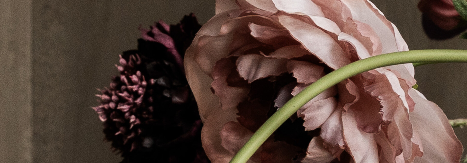 Ranunkelzweig mauve RT 63 cm