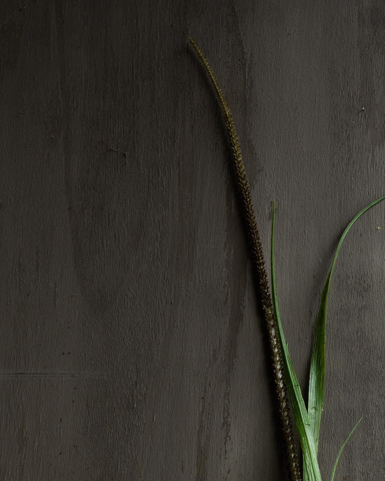 GRASS BRANCH GRÜN 130 cm-1