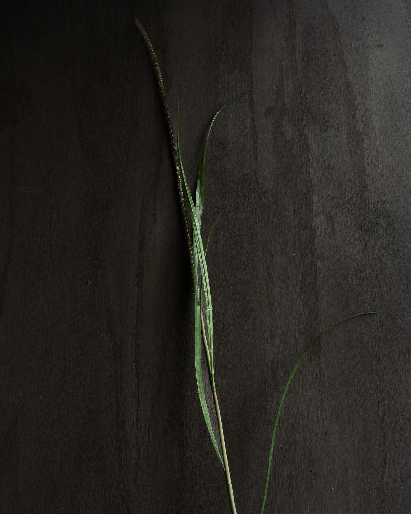 GRASS BRANCH GRÜN 130 cm-2