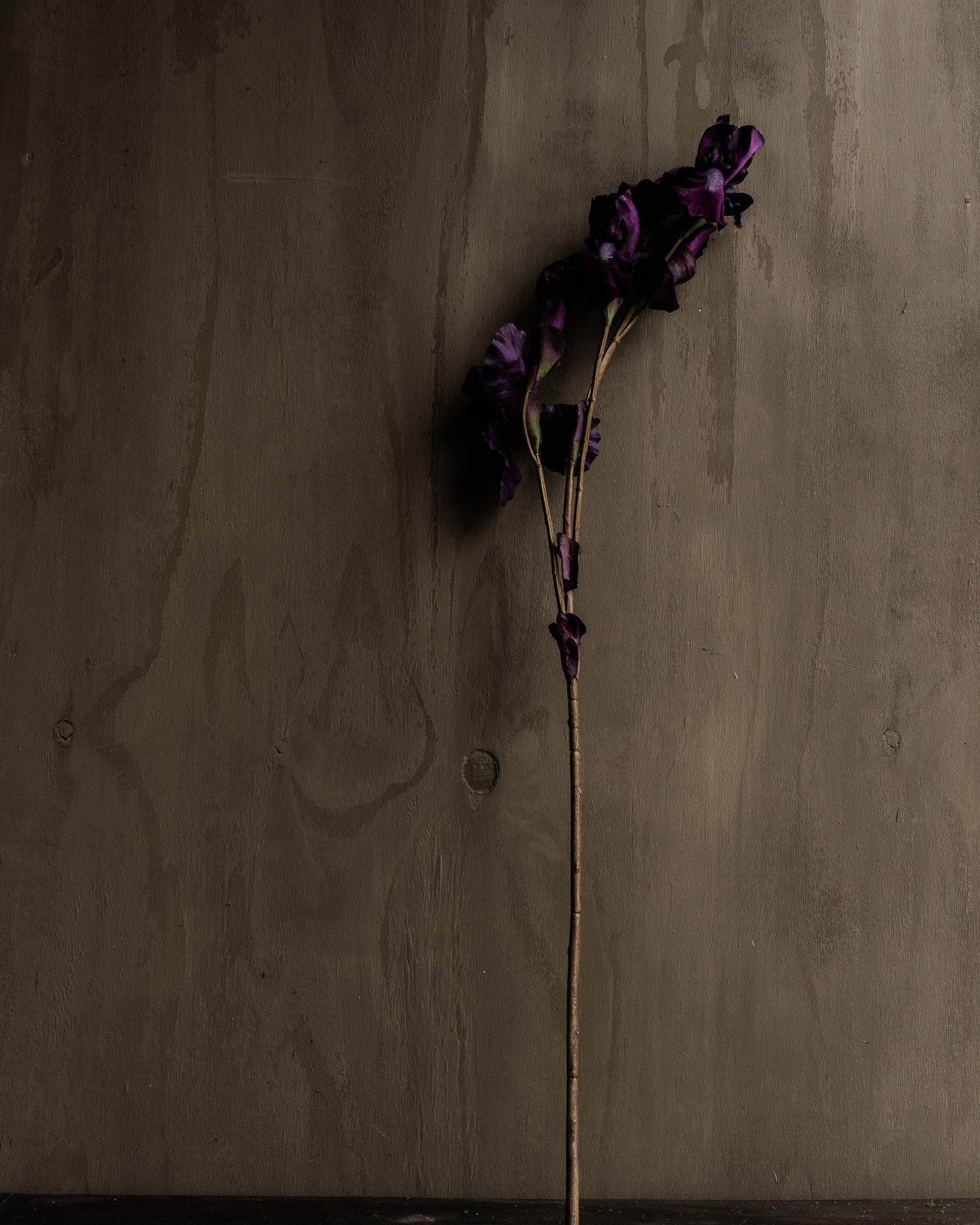 IRIS BRANCH PURPLE 102cm-3