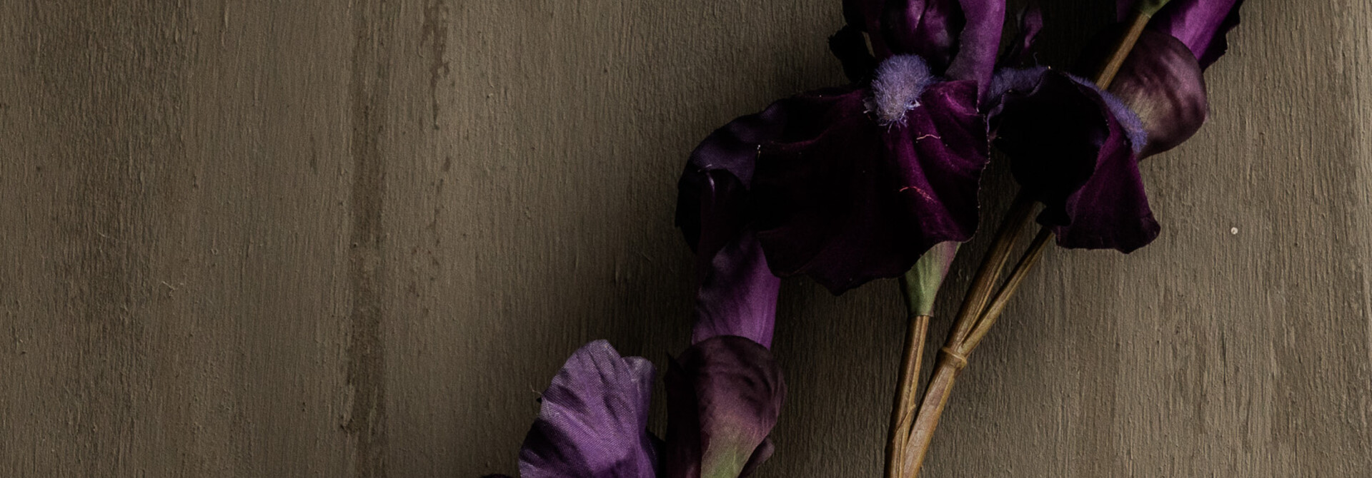 IRIS BRANCH PURPLE 102cm