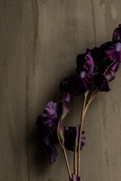 IRIS BRANCH PURPLE 102cm