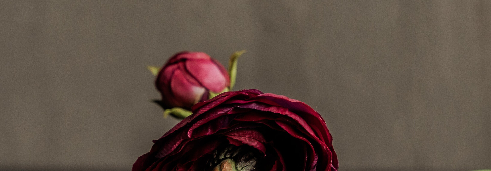 Ranunkelzweig bordeaux 64 cm