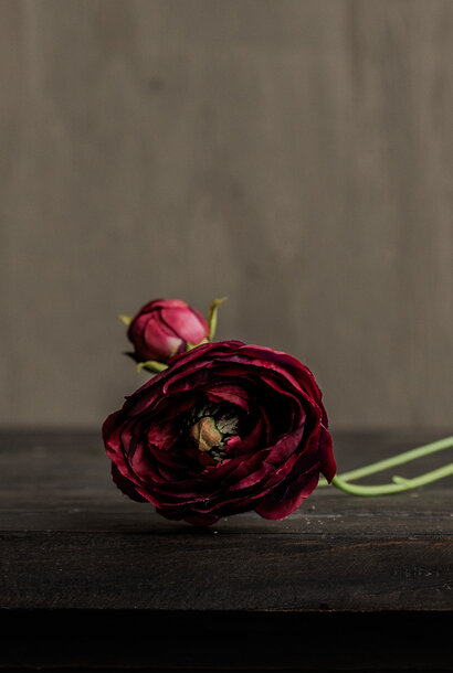 Ranunculus branch bordeaux 64 cm