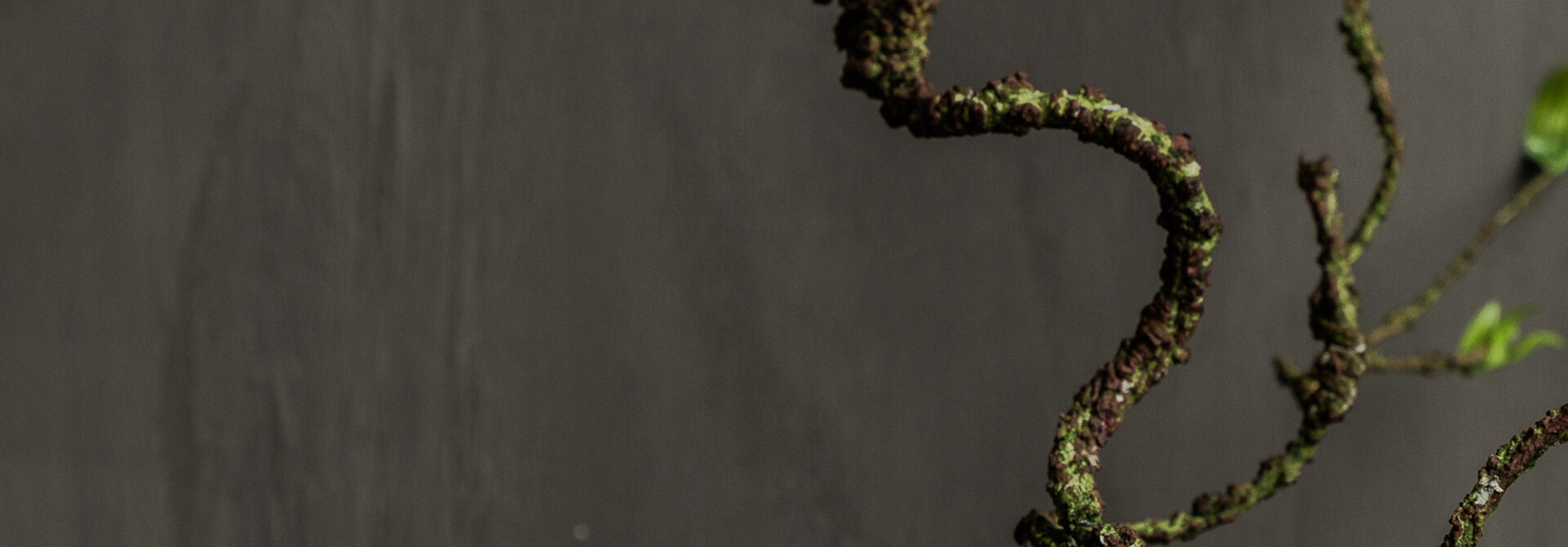 WEIDENBRANCH GRÜN 80 cm