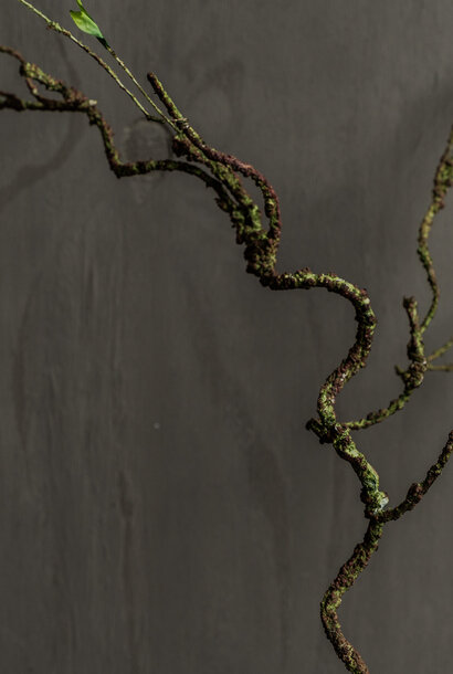 WILGENTAK GROEN 80 cm